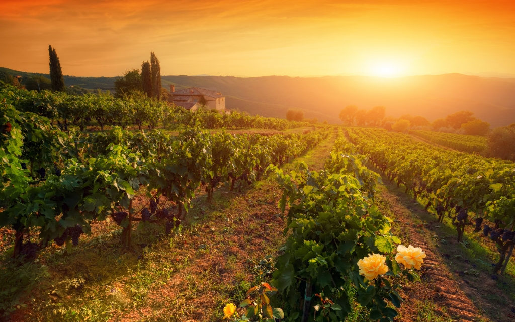 https://www.italyforfoodies.tours/wp-content/uploads/2020/11/CHIANTI-TRAMONTO-2-1024x640.jpg